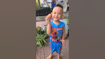 Con gà không biết đẻ trứng #shost #shortvideo