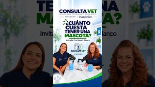 ¿Cuánto Cuesta Realmente Tener una Mascota? | Consulta Vet