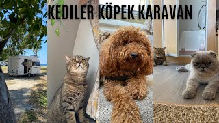 Kedili Köpekli ve Bebekli Karavan