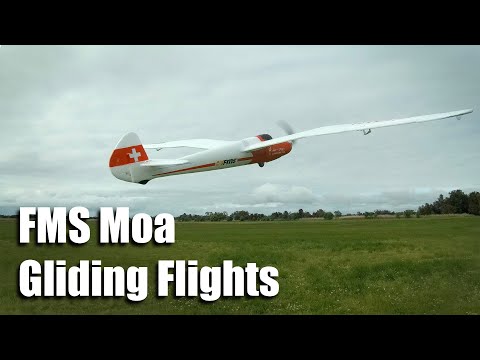 FMS Moa Gliding Flights