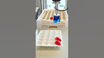 Strawberry Handling Revolution: MVG Vacuum Gripper