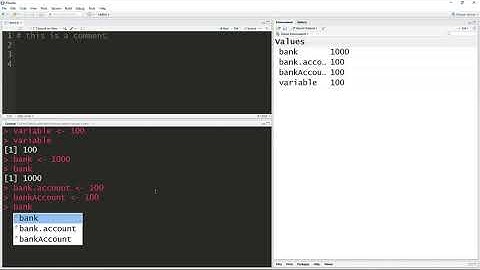 Data Science and Machine Learning Bootcamp with R | Variables | Lecture 11