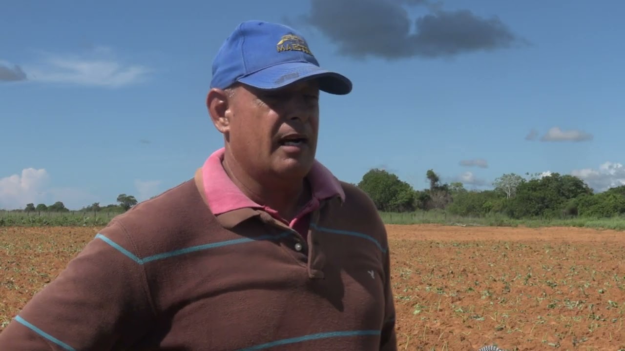 Inicia la campaña de frío 2025 en Sandino.