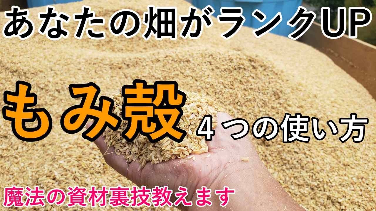 家庭菜園をワンランクアップさせるもみ殻4つの活用法｜4つの性質をどう活かすかで決まる