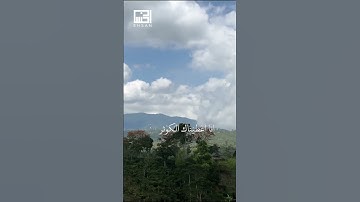 سورة الكوثر كاملة #القارئ الشيخ فارس عباد #سورة_الكوثر