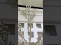 Raz 32.5" Set of 2 Pearl Branch Christmas Tree Spray F4602523