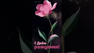Красивое поздравление с днем рождения открытка женщине