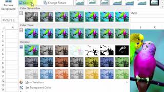 How To Apply Color Saturation on Picture in MS Excel 2013 Tutorial p77 Urdu Hindi