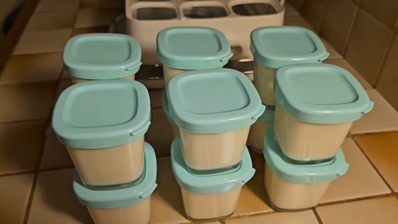 SKYR YAOURT AVEC DU SKYR DANS SEB MULTIDELICE PROGRAME 1 YAOURT FERME EXCELLENT !!!!!