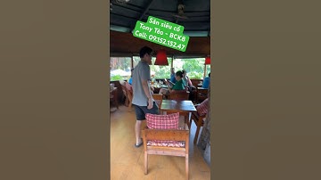 Tín ITP leo lên cây uống cafe