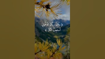 ﴿ وَقَالَ رَبُّكُمُ ادْعُونِي أَسْتَجِبْ لَكُمْ ۚ ) القارئ عبد الباسط