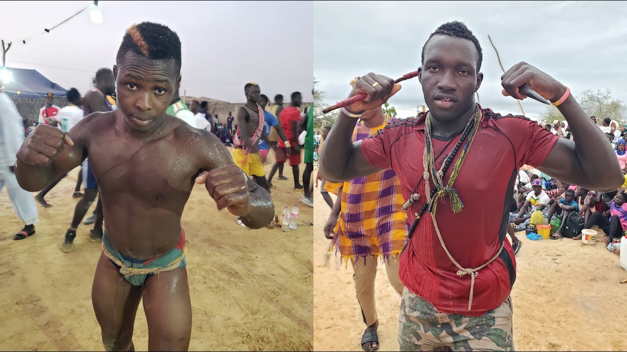 MAMO TV EN DIRECT DE BASSAR