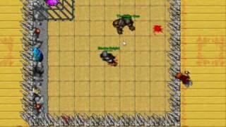 Blacke - arena 1 tibia samera