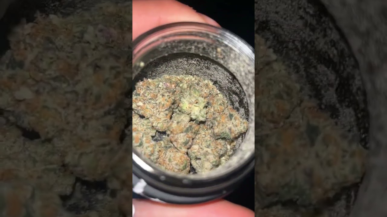 Do-Si-Dos#22-22 Culta Top Shelf flower.