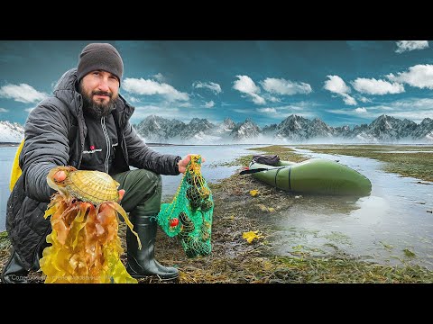 ISLAND LIFE | DELICACIES UNDERFOOT - WHAT CAN YOU FIND ON THE BOTTOM?