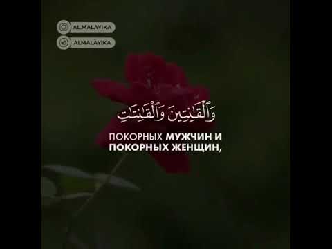 Сура 33 текст. Сура 33 союзники (Аль-Ахзаб)35 аят. Сура Аль Ахзаб союзники 35. Коран Сура 33 аят 35. 33 Сура 35 аят Аль Ахзаб.