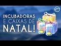 QUAL É A MELHOR CAIXA DE PRESENTE PARA COMPRAR NO POKÉMON GO?