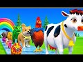 Animal crossing new zoo is live!