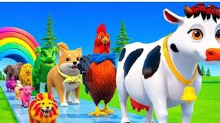 Animal crossing new zoo is live!