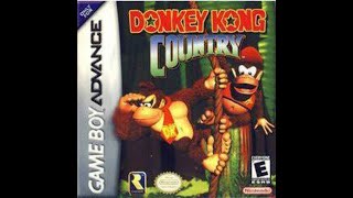 Donkey