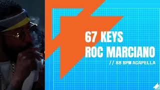 Roc Marciano ft Meyhem Lauren &amp; Rome Streetz - &quot;67 Keys&quot; (ACAPELLA) 88 BPM