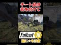 チート品に気を付けて【FO76】