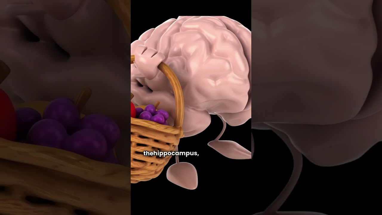 Why you'll never remember being a baby? | Here's why