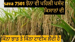 Sava 7501 ਵੀ ਪਹਿਲੀ ਪਸੰਦ ਬਣਿਆ ਕਿਸਾਨਾਂ ਦੀ @manderbai2108 #farming #7501#7301