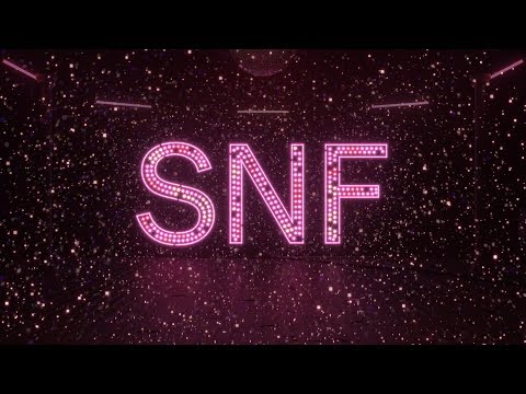 2019 사라센 네일 페스티벌 SNF - 로고ver