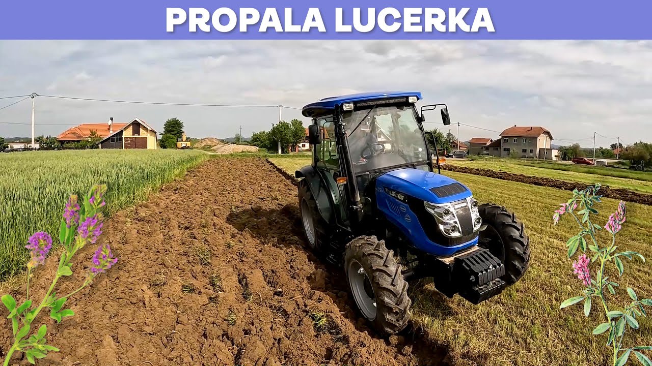 Razoravamo lucerku za setvu ranog kukuruza! Oranje sa Solisom i Unlu-om-maj 2024. g.