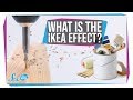 Understanding the IKEA Effect