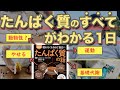 眠れなくなるほど面白い たんぱく質の話【本の内容を実践＆解説】