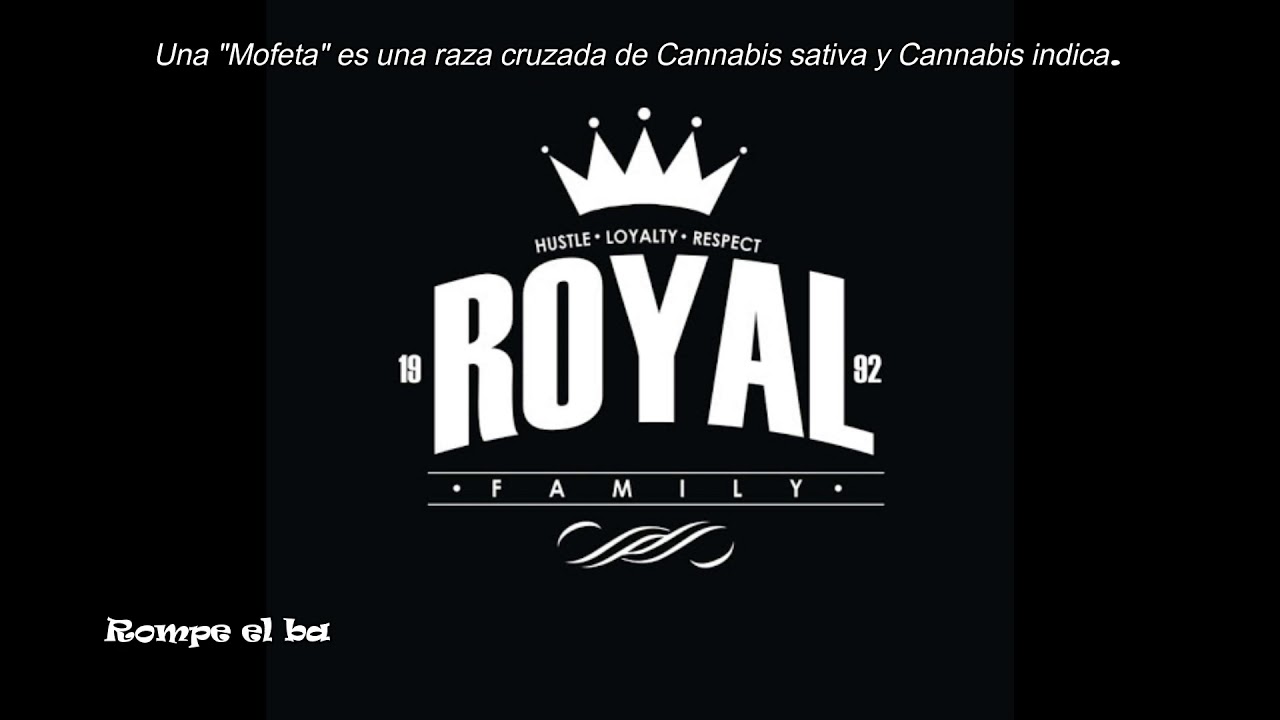 Royal Fam - Acid / Subtitulada en español