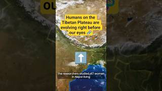 Humans are still evolving right before our eyes! #shorts #science #facts #news