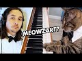The kiffness x mozart cat  piano playing cat remix