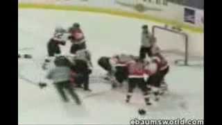 Hockey Fights and Hockey Hits