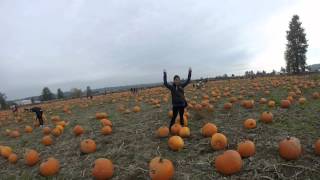 GoPro: Carpinto Bros Farm 2015