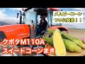 メムピーコーン発売【トラクター】クボタ M110A 【KUBOTA】スイートコーン 種まき トウモロコシ ゴールドラッシュ#37