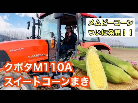 SONY - とうもろこし Amazon｜OXO 皮むき器 コーン ピーラー ミニ ステンレス