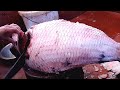 18 Kg Giant Katla Fish Cutting Live In Fish Market | Big Fish Cutting Show