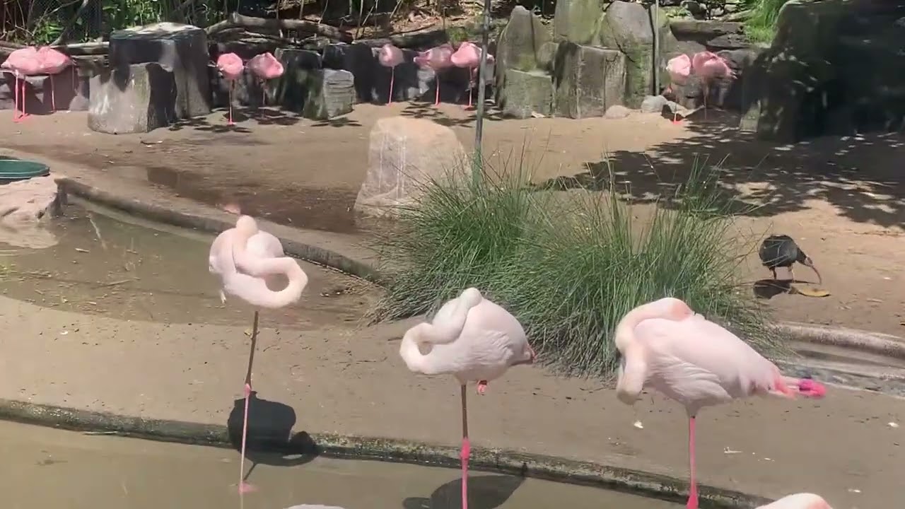 Seriously so cool! Nature rocks We love nature and it shows 