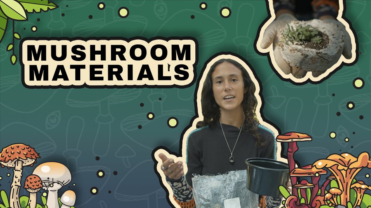 Mycomaterials DIY: How to make a flower pot from Mushroom Mycelium!