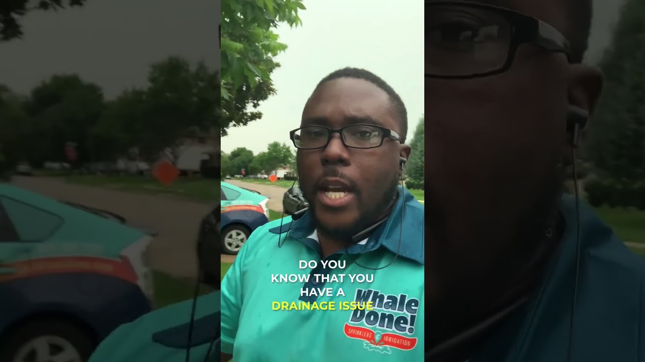 How can I get the water out of my lawn after a rain?