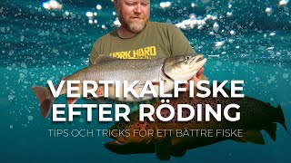 Vertikalfiske efter röding - tips och tricks för ett bättre fiske