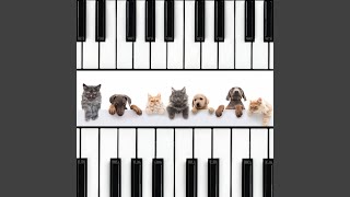 Piano Serenade of Tranquil Harmony