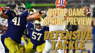 Notre Dame Spring Preview - Defensive Tackles