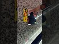 Tres medidas extremas para combatir a los "Chikan" o acosadores en el tren