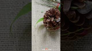 Time To Add A Little Christmas Nature Crafting To Your Planned Activities This Year.