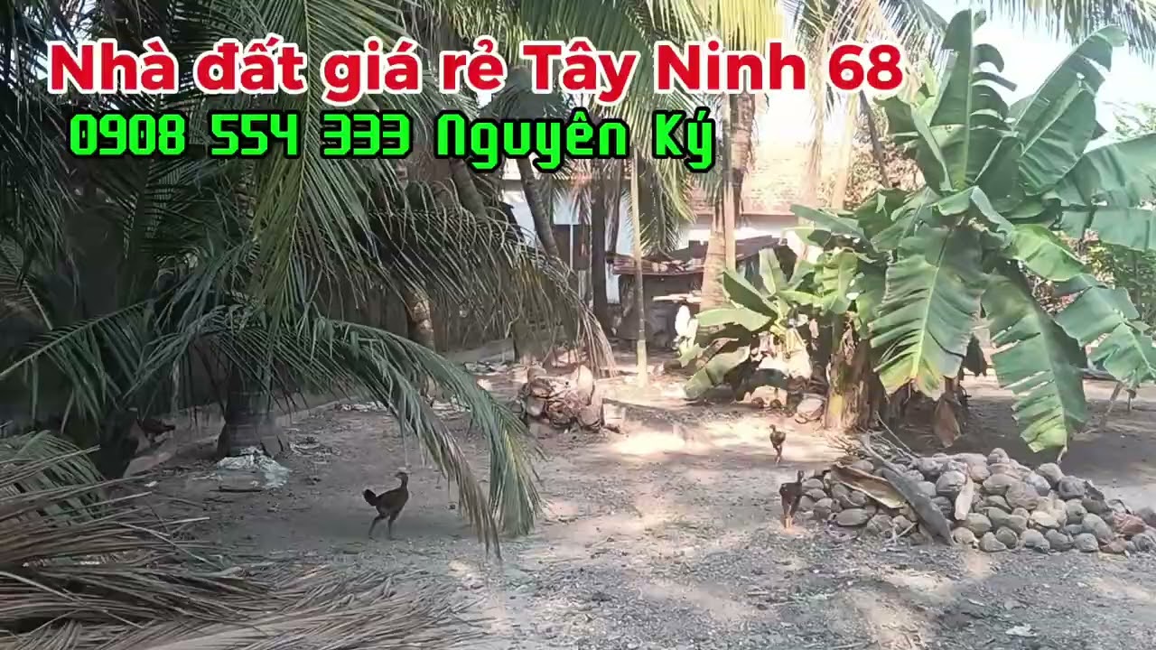 Tập 068B:5x31m có 75m thổ. Gần chợ, trung tâm trường học... Giá 570triệu hết đất 