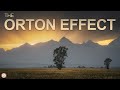 Make Your Photos DREAMY!  How to Create an Orton Effect in Adobe Photoshop